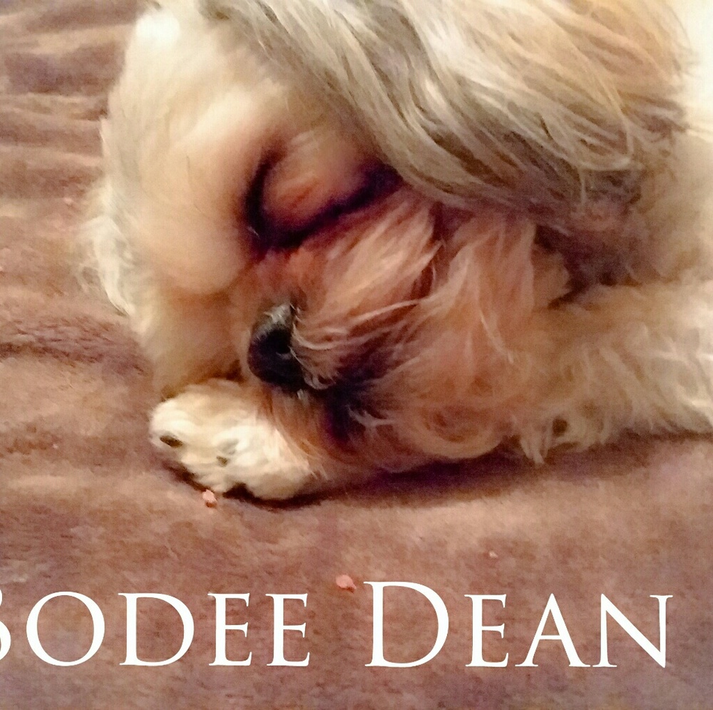 Meet your Posher, Kevin